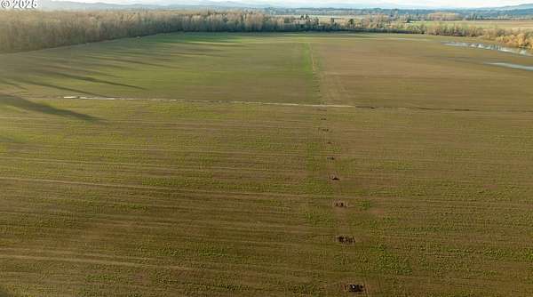 224 Acres of Agricultural Land for Sale in Dayton, Oregon