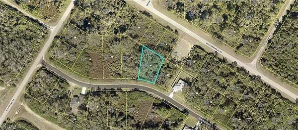0.32 Acres of Residential Land for Sale in Lehigh Acres, Florida