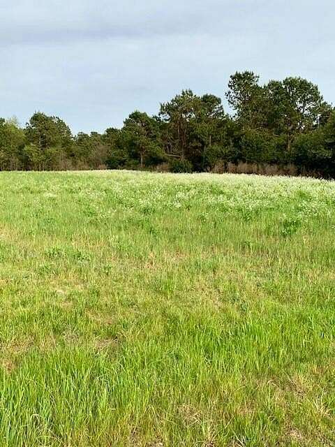 183 Acres of Recreational Land & Farm for Sale in Hephzibah, Georgia