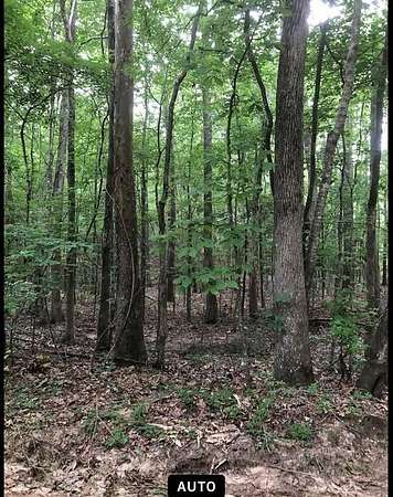 9 Acres of Agricultural Land for Sale in Florence, Mississippi