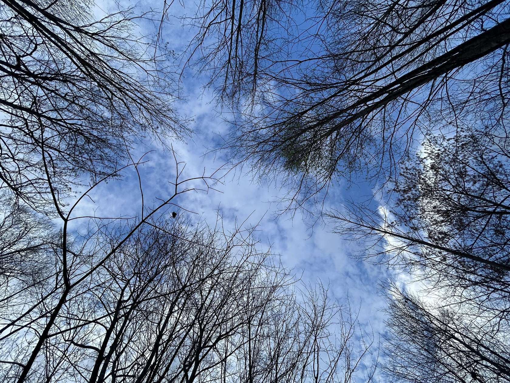 1.25 Acres of Residential Land for Sale in Jasper, Tennessee