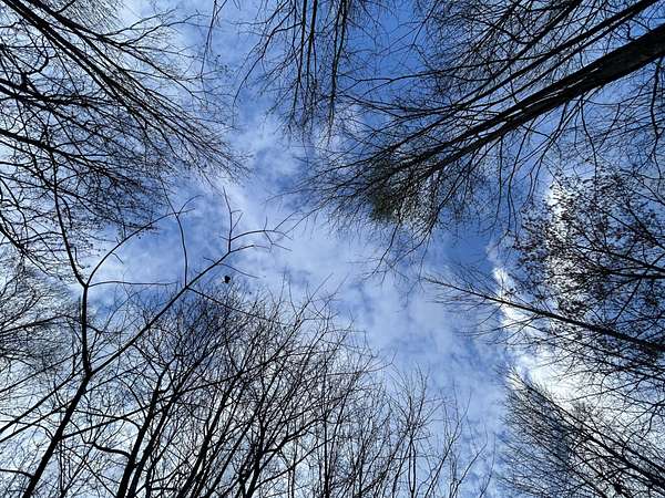 1.25 Acres of Residential Land for Sale in Jasper, Tennessee