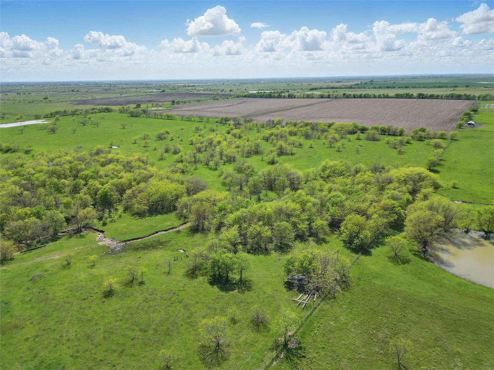 54 Acres of Agricultural Land for Sale in Gunter, Texas