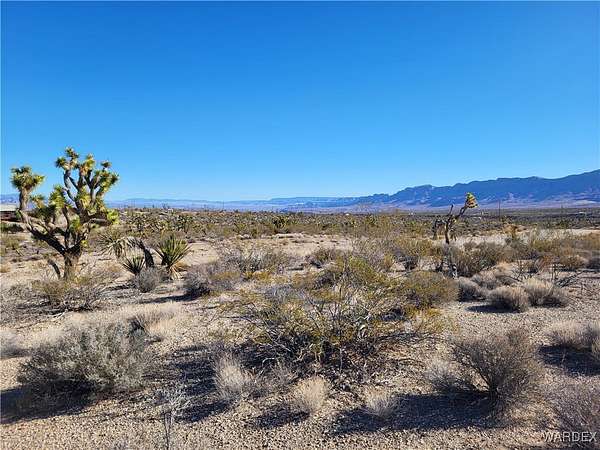 1 Acre of Land for Sale in Meadview, Arizona
