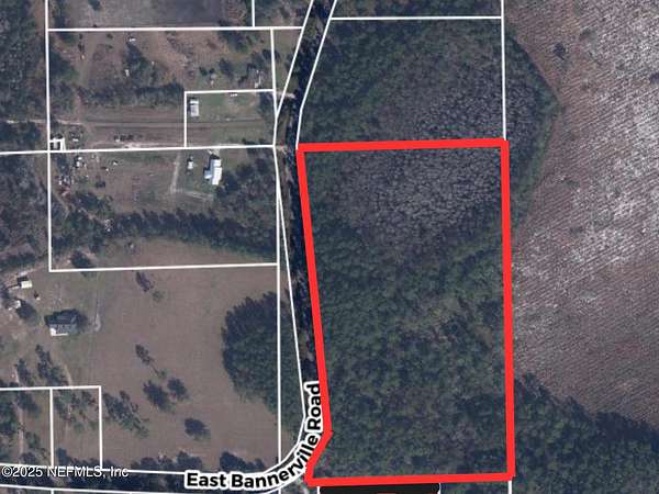 12.5 Acres of Recreational Land for Sale in Palatka, Florida