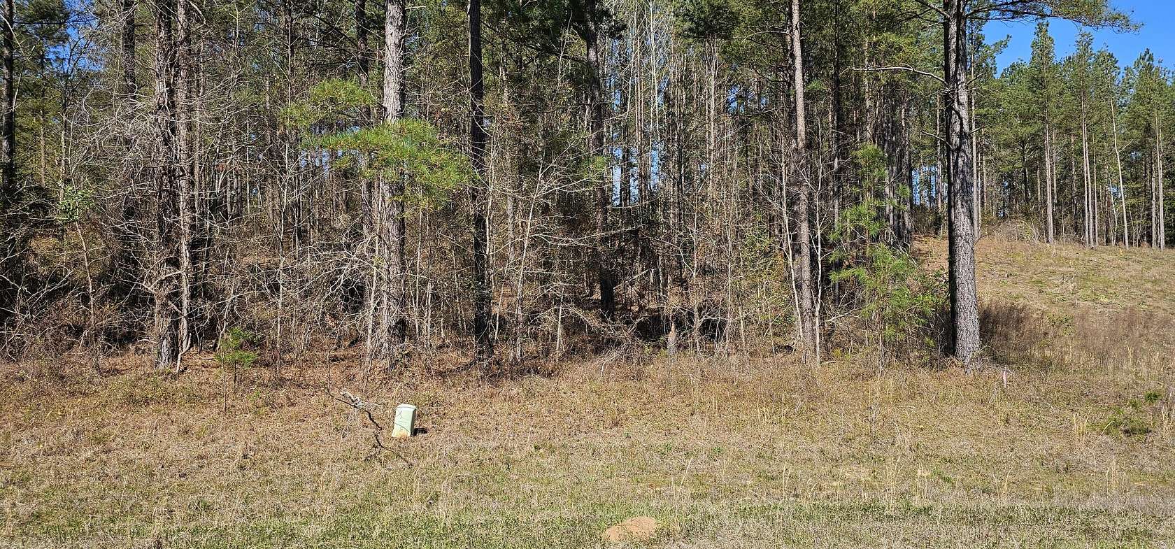 1 Acre of Residential Land for Sale in Hephzibah, Georgia