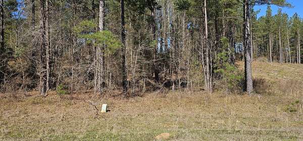 1 Acre of Residential Land for Sale in Hephzibah, Georgia