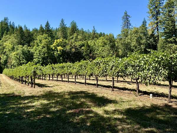 9.89 Acres of Land with Home for Sale in Cave Junction, Oregon