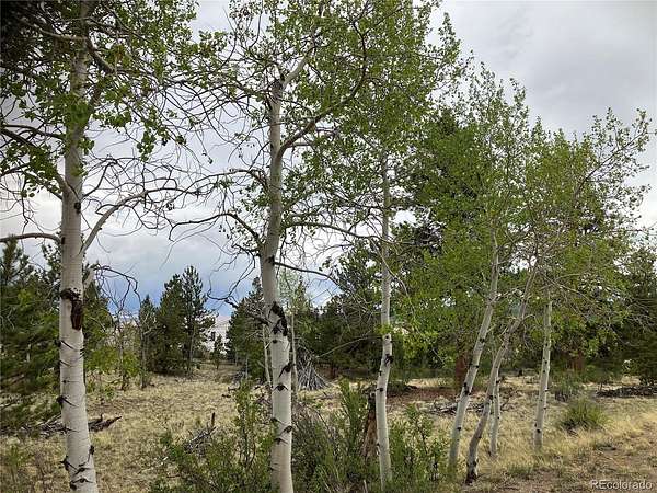 2.5 Acres of Land for Sale in Hartsel, Colorado