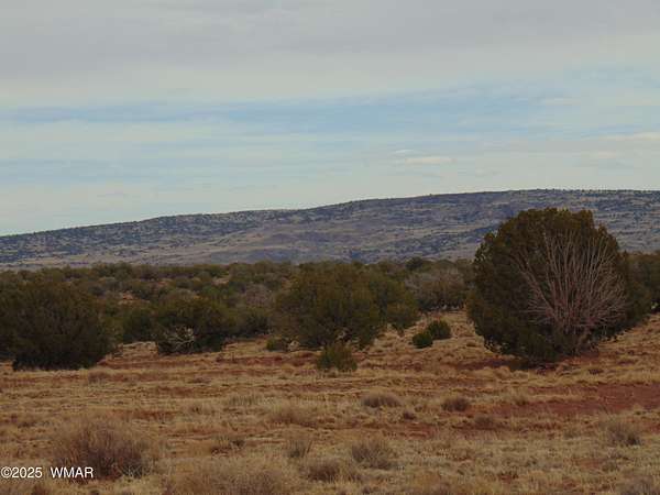 40 Acres of Land for Sale in Concho, Arizona