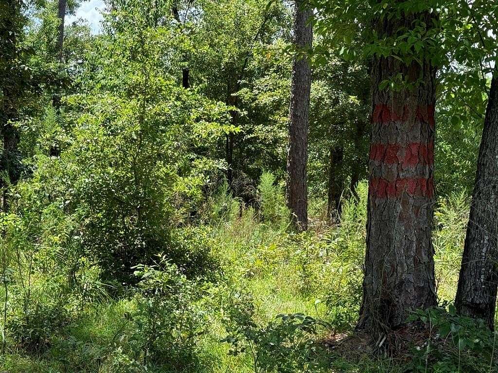 0.28 Acres of Residential Land for Sale in Donalsonville, Georgia