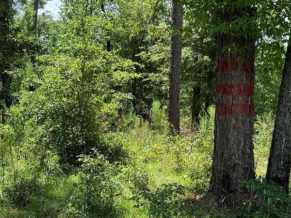 0.28 Acres of Residential Land for Sale in Donalsonville, Georgia