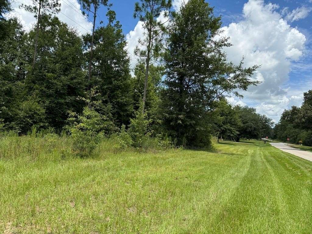 0.2 Acres of Residential Land for Sale in Donalsonville, Georgia