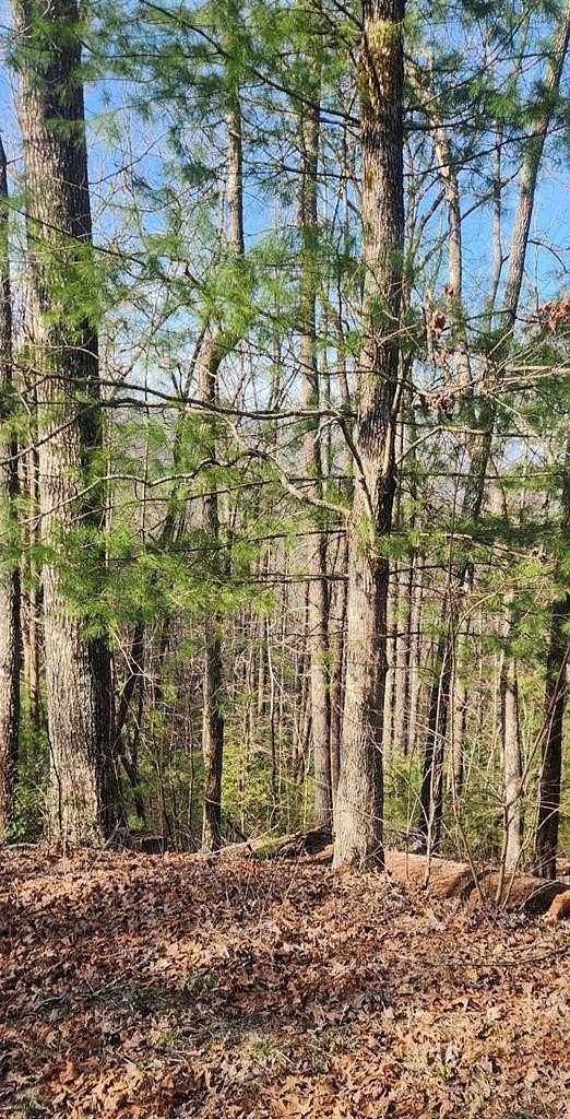 1 Acre of Land for Sale in Hiawassee, Georgia