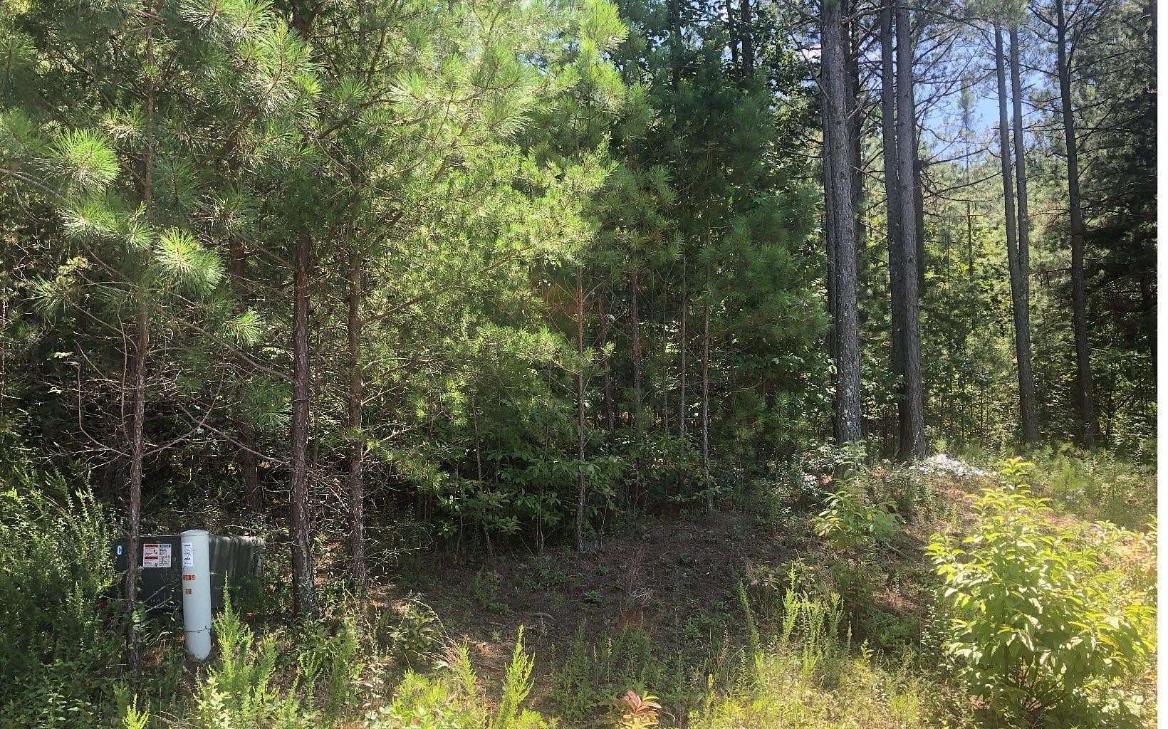 1 Acre of Residential Land for Sale in Blairsville, Georgia