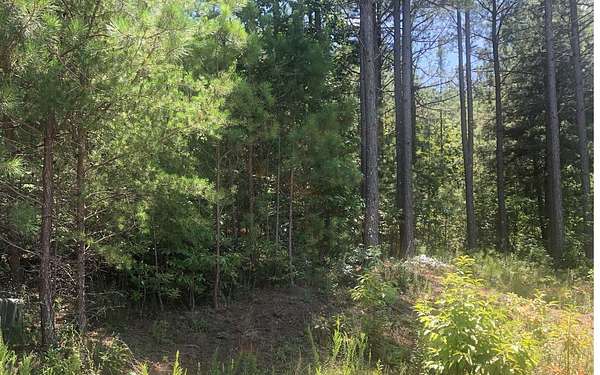 1 Acre of Residential Land for Sale in Blairsville, Georgia