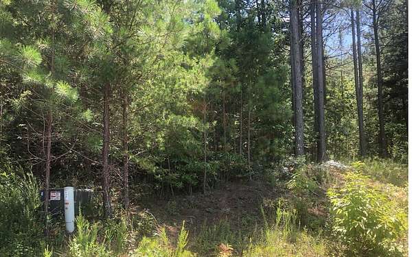 1 Acre of Residential Land for Sale in Blairsville, Georgia