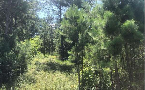 1 Acre of Residential Land for Sale in Blairsville, Georgia