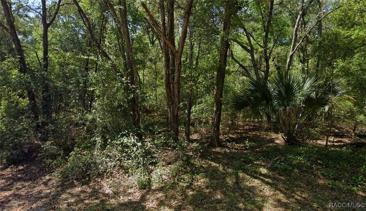 0.48 Acres of Residential Land for Sale in Citrus Springs, Florida