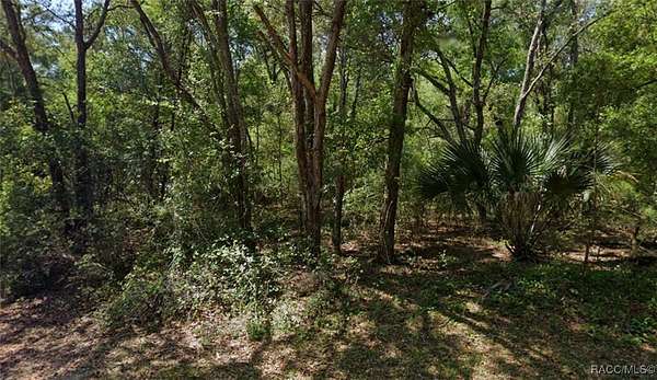 0.48 Acres of Residential Land for Sale in Citrus Springs, Florida