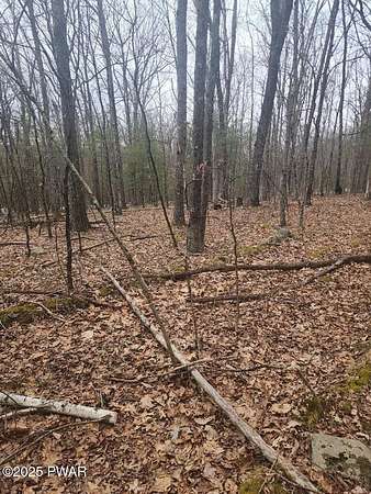 1.1 Acres of Residential Land for Sale in Hawley, Pennsylvania