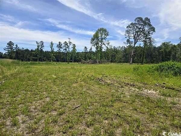 8 Acres of Residential Land for Sale in Green Sea, South Carolina