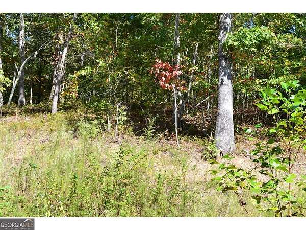 1.4 Acres of Residential Land for Sale in Cleveland, Georgia