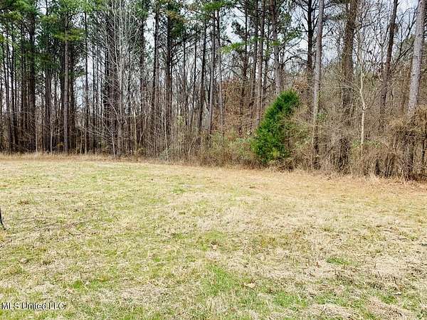 2 Acres of Land for Sale in Lake Cormorant, Mississippi