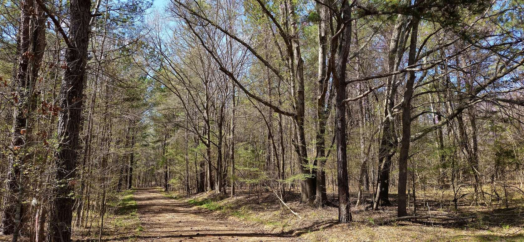 9.82 Acres of Residential Land for Sale in Rayle, Georgia