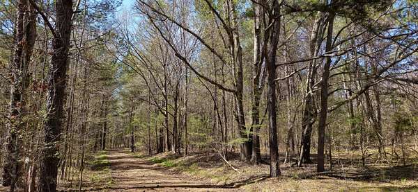 9.82 Acres of Residential Land for Sale in Rayle, Georgia