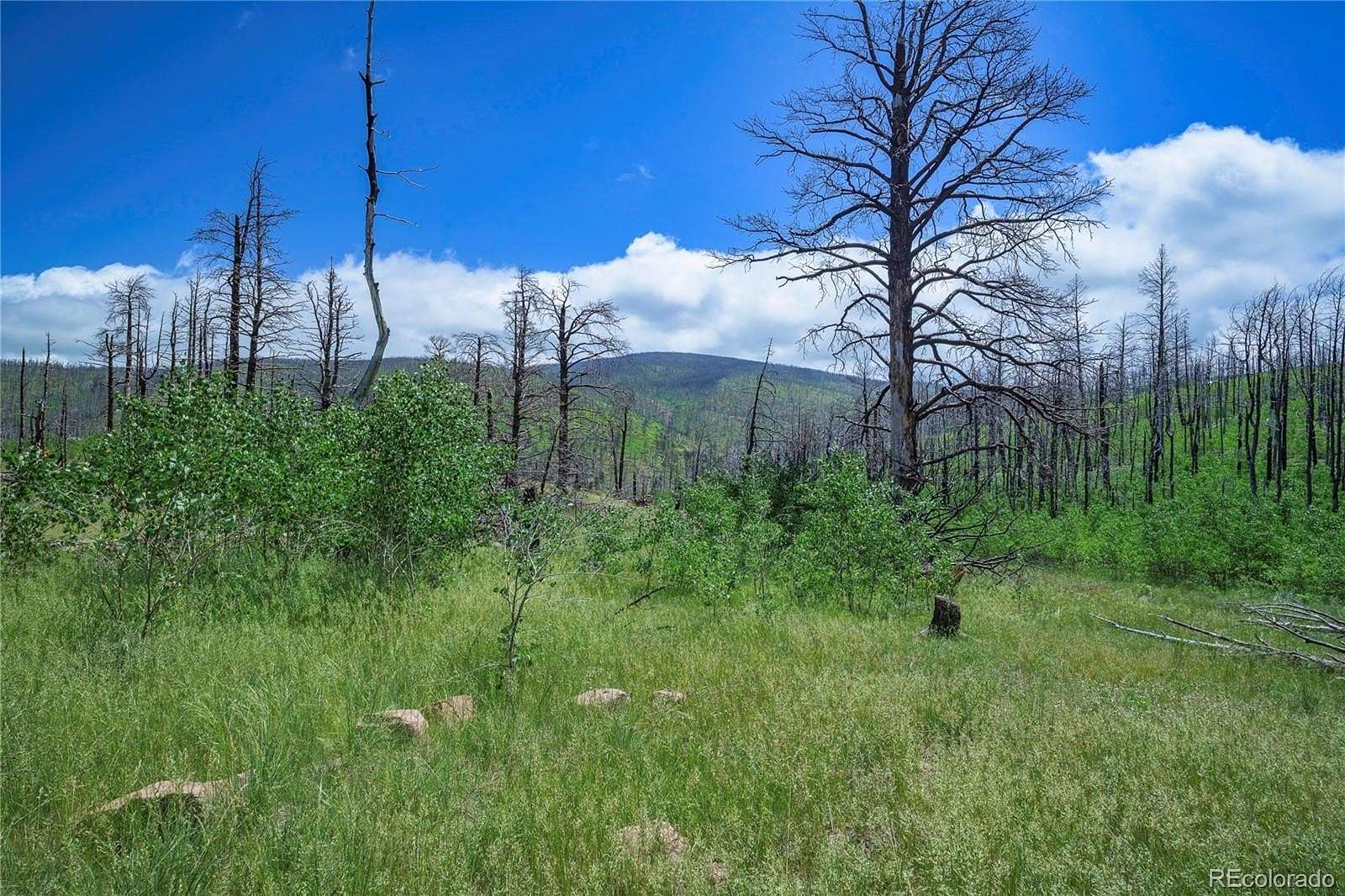 1.32 Acres of Residential Land for Sale in Fort Garland, Colorado