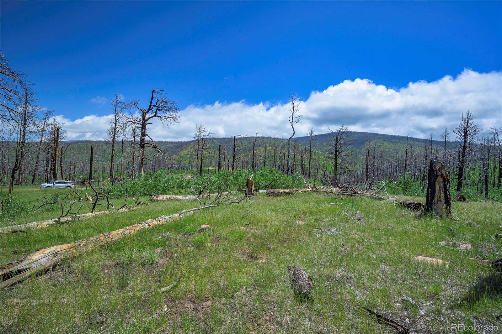 1.32 Acres of Residential Land for Sale in Fort Garland, Colorado