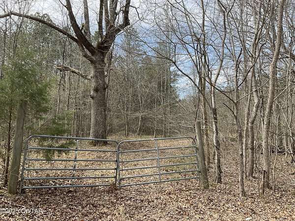 66.5 Acres of Recreational Land for Sale in Beech Bluff, Tennessee