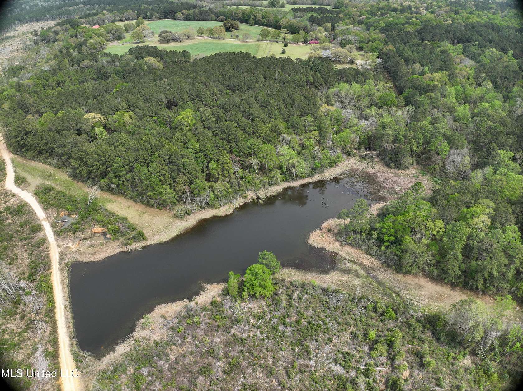 310 Acres of Recreational Land for Sale in Perkinston, Mississippi