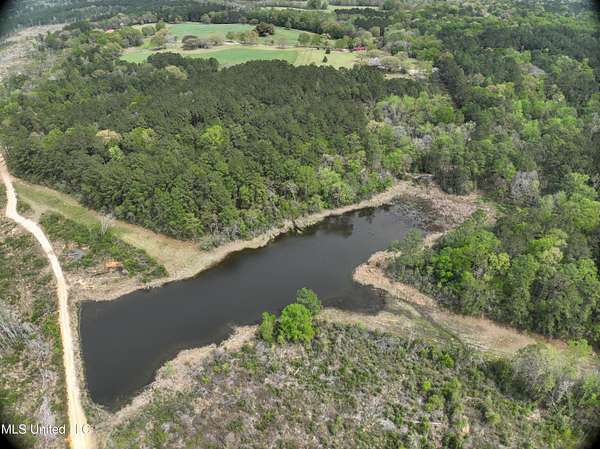 310 Acres of Recreational Land for Sale in Perkinston, Mississippi