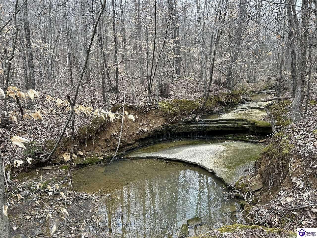 20.6 Acres of Recreational Land for Sale in Leitchfield, Kentucky