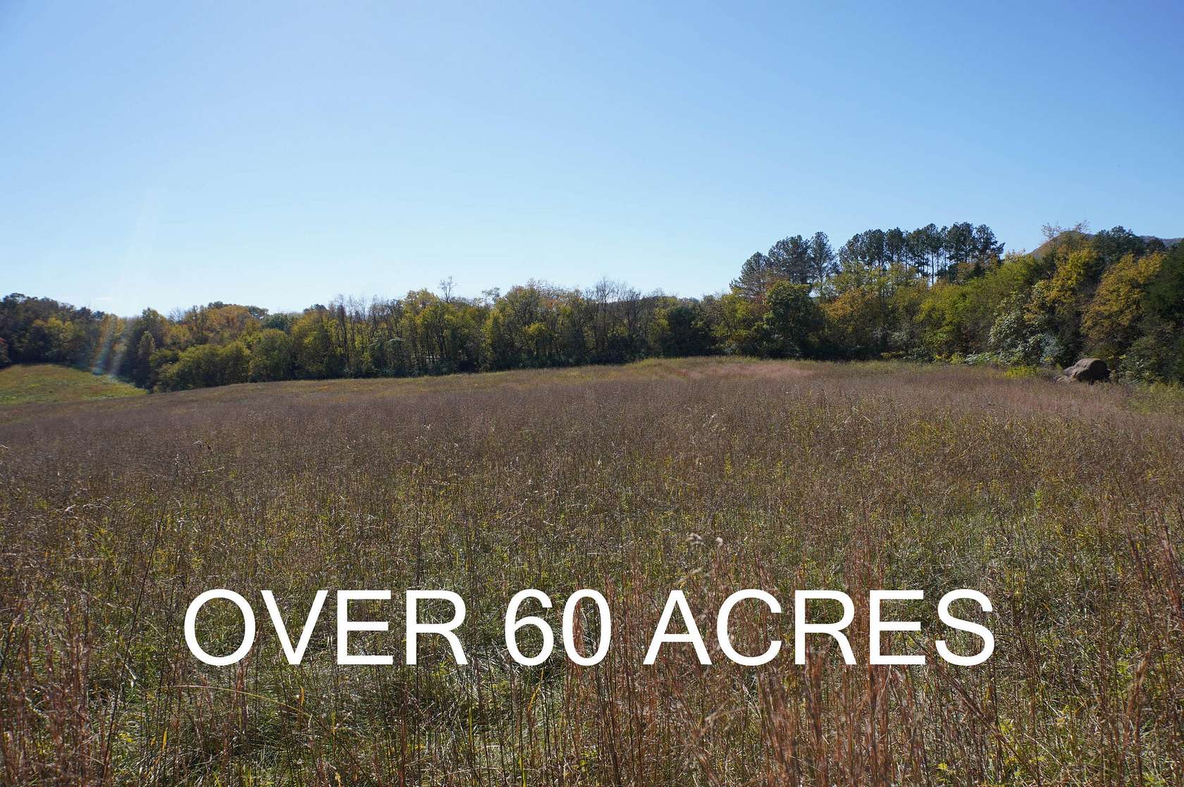 60.5 Acres of Land for Sale in Newport, Tennessee