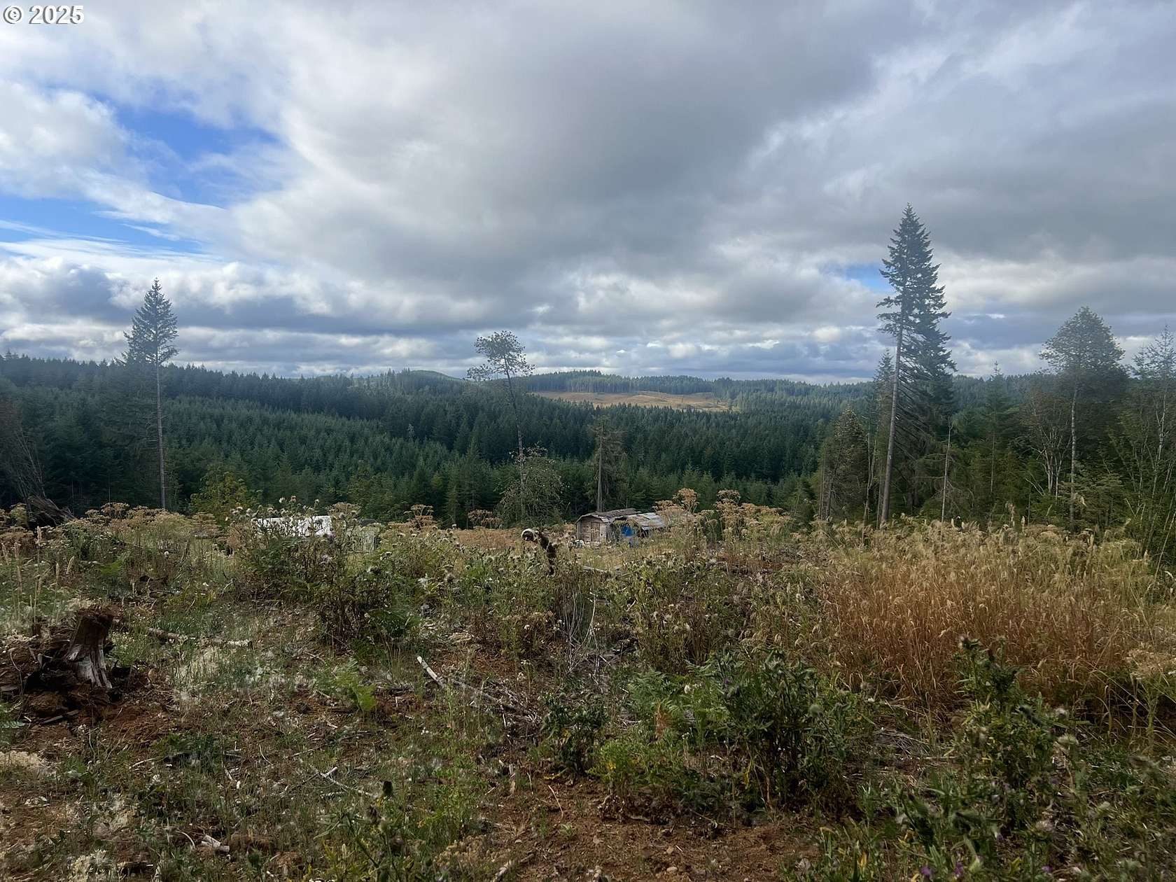 4.85 Acres of Residential Land for Sale in Elmira, Oregon
