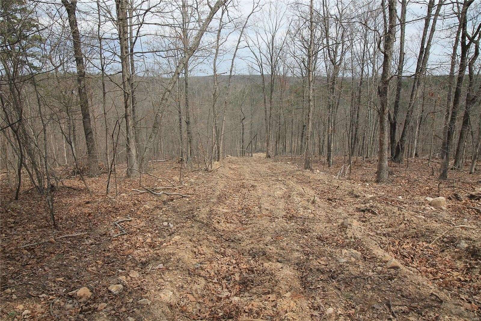 15.7 Acres of Recreational Land & Farm for Sale in Fredericktown, Missouri