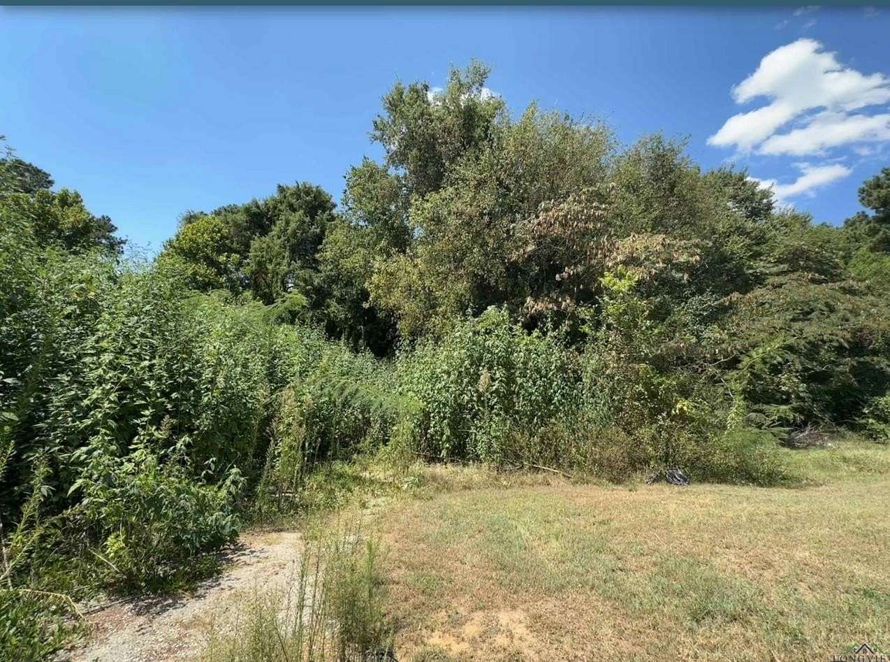 0.21 Acres of Mixed-Use Land for Sale in Longview, Texas