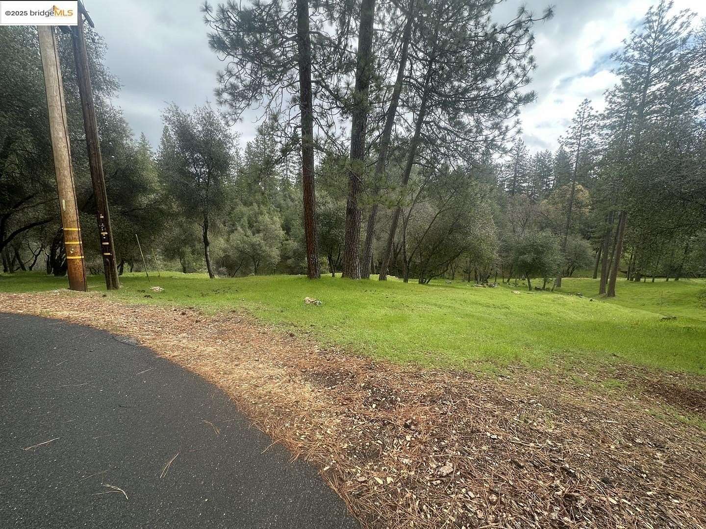 1.6 Acres of Residential Land for Sale in Groveland, California