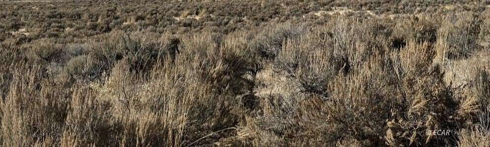 0.67 Acres of Land for Sale in Spring Creek, Nevada