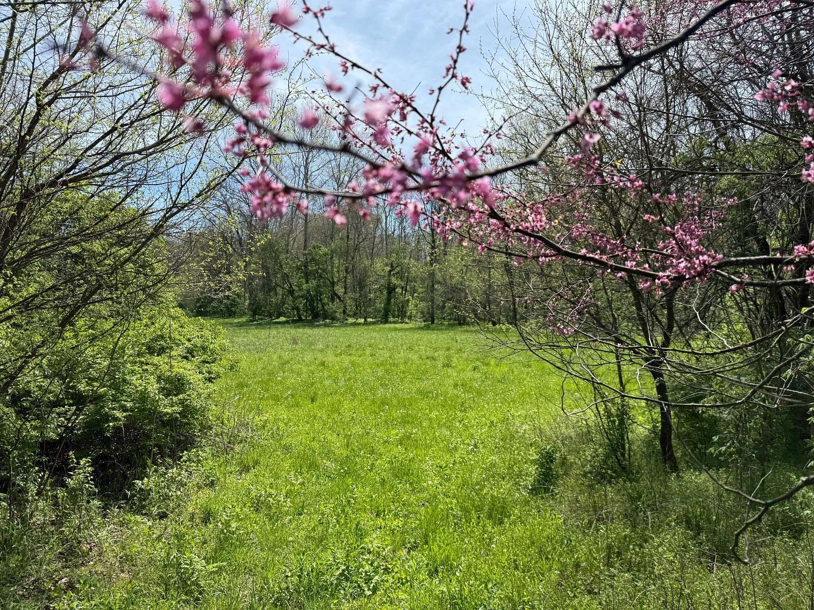 76.1 Acres of Land for Sale in Brownsville, Indiana