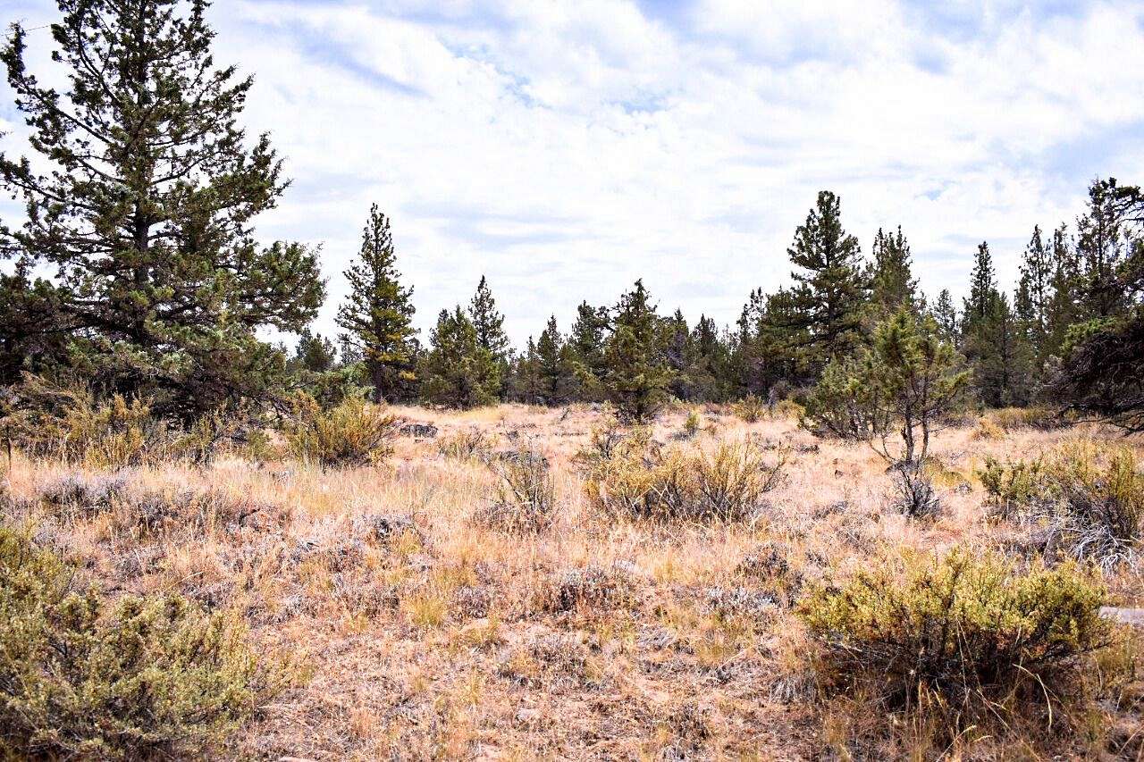 2.22 Acres of Residential Land for Sale in Bonanza, Oregon