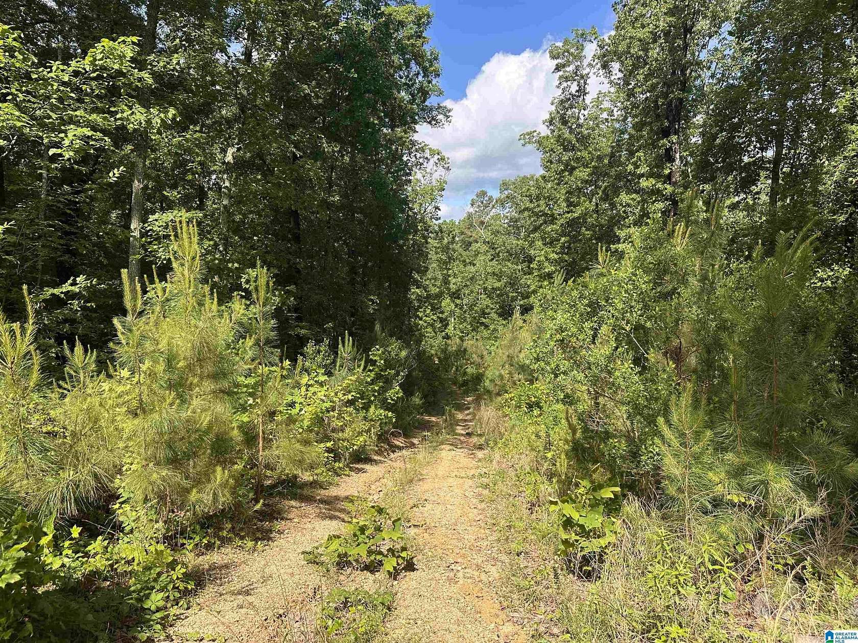 12.1 Acres of Land for Sale in Leeds, Alabama