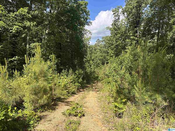 12.1 Acres of Land for Sale in Leeds, Alabama