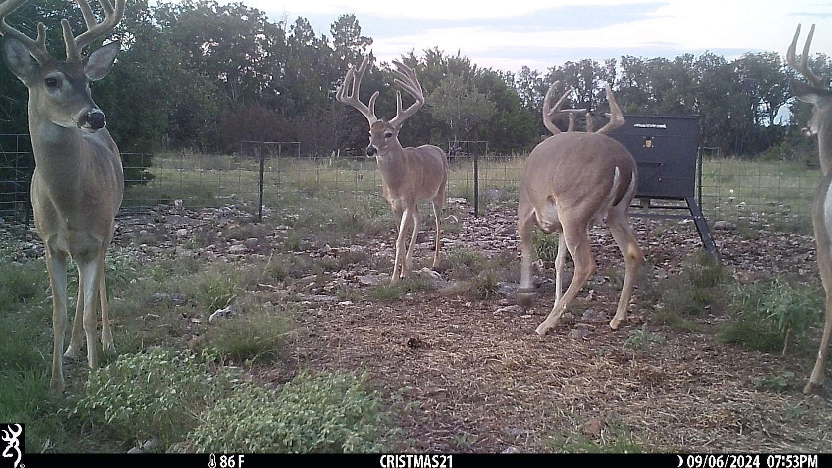107 Acres of Recreational Land for Sale in Rocksprings, Texas
