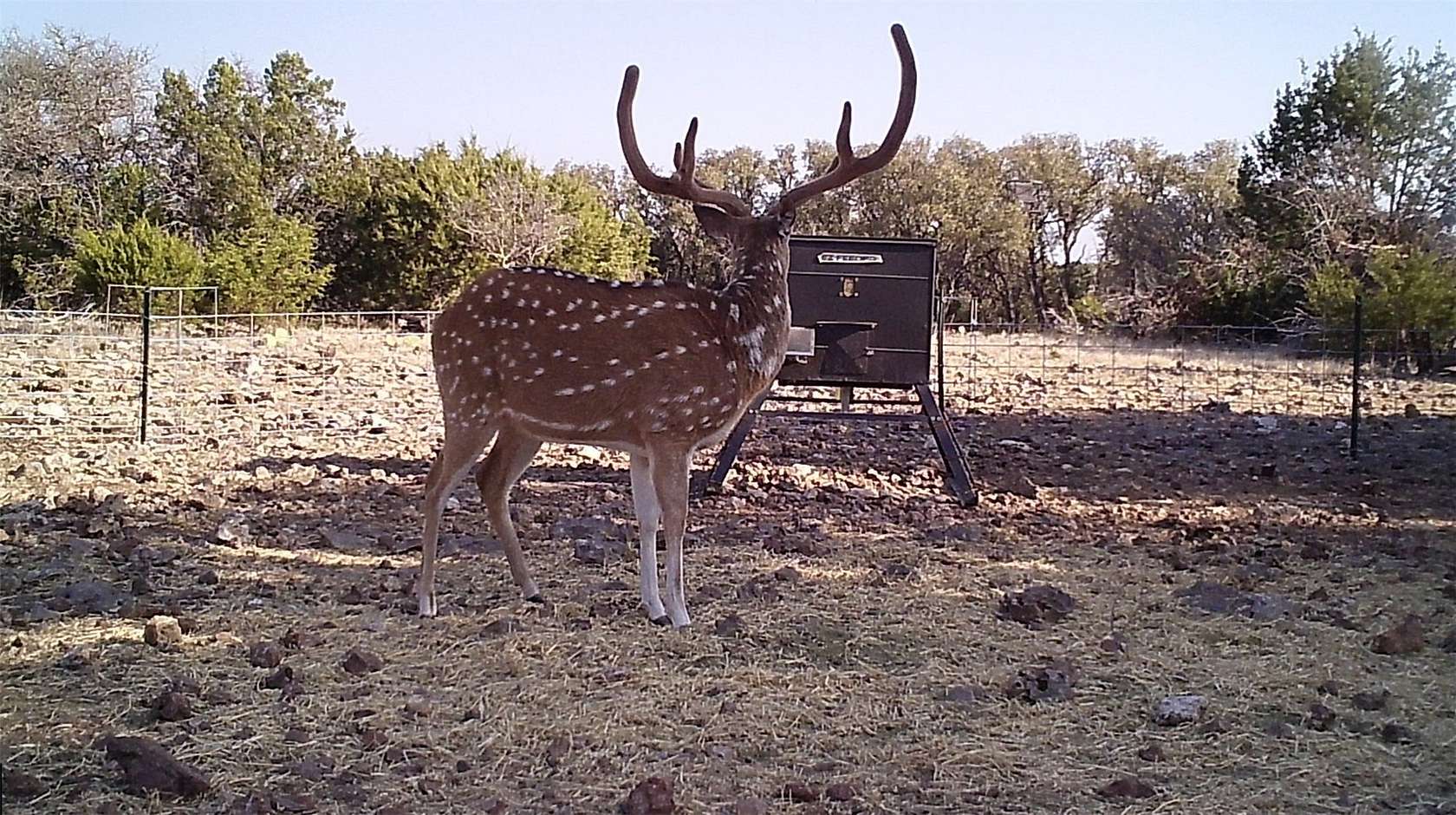 107 Acres of Recreational Land for Sale in Rocksprings, Texas
