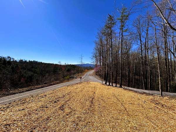 0.77 Acres of Residential Land for Sale in Reliance, Tennessee