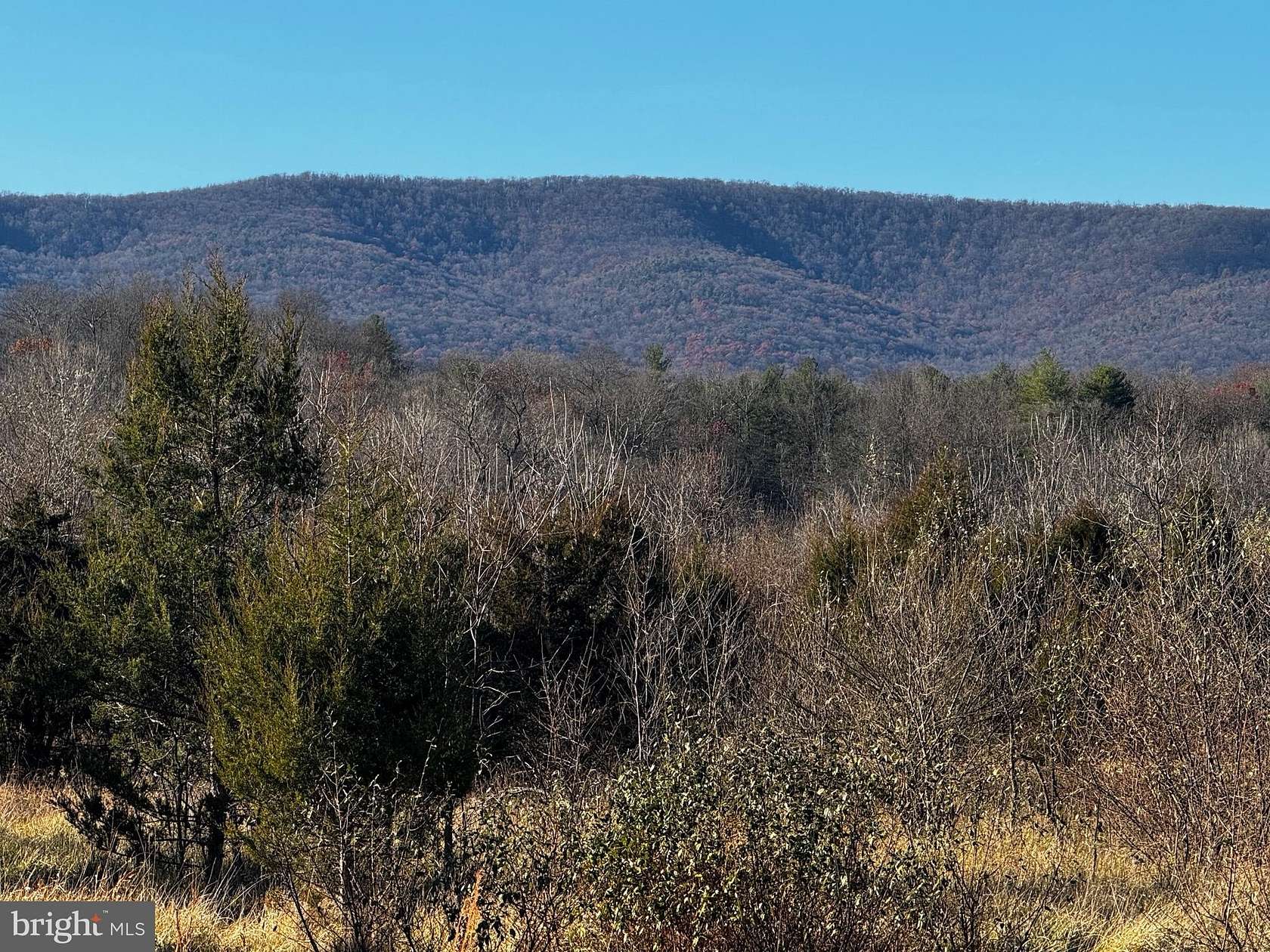 20.6 Acres of Recreational Land for Sale in Gerrardstown, West Virginia